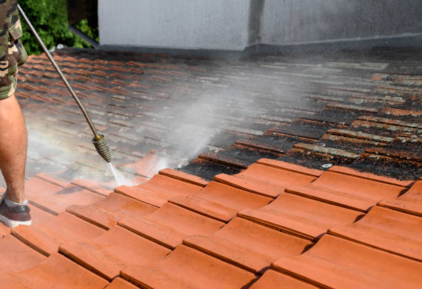 Best Roof Pressure Washing  in Albion, NE