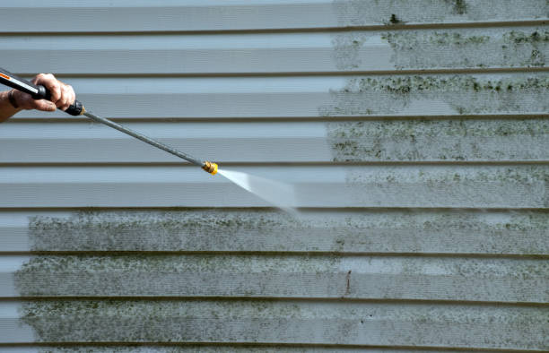 Best Residential Pressure Washing Services  in Albion, NE