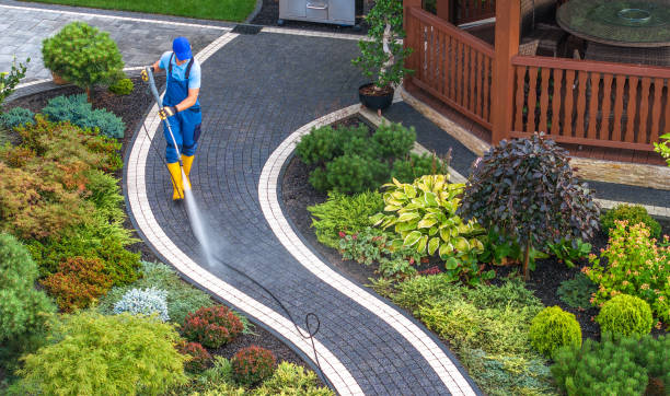 Best Deck Cleaning Services  in Albion, NE